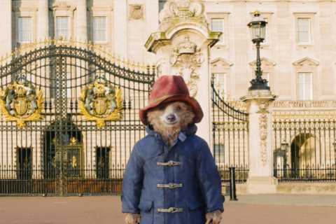 Who is the voice of Paddington Bear?