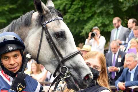 Mystery as leading jockey Sean Levey to miss Racing League final and potential £20,000 bonus after..