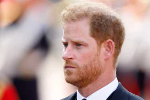 Palace allowed Prince Harry to wear military uniform after ‘caving to public sentiment’, Meghan..