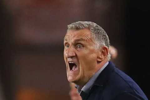 Sunderland to hand Tony Mowbray transfer funds in January if he manages to keep them in Prem..