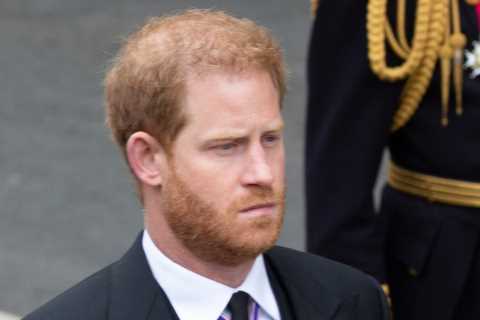 ‘Emotionally-broken’ Prince Harry showed he wanted more ‘active’ funeral role with one gesture,..