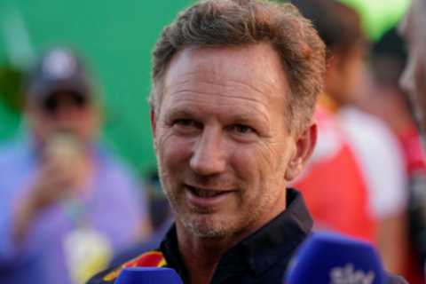 Horner claims Lewis Hamilton has NEVER praised Verstappen… despite seven-time F1 champ calling..