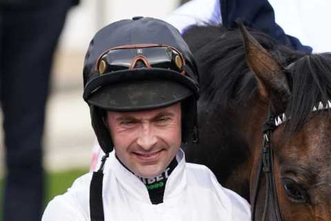 Constitution Hill running plans confirmed as Nicky Henderson’s Cheltenham superstar warms up for..