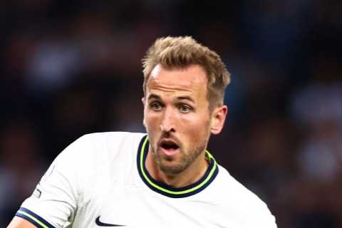 Burnley rejected chance to sign Spurs star Harry Kane for just £7MILLION in 2014 with board..