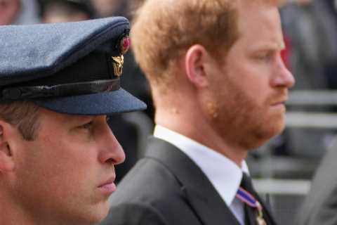 ‘Grief-stricken’ Prince Harry displayed ‘regret’ in glance at Prince William during funeral, body..
