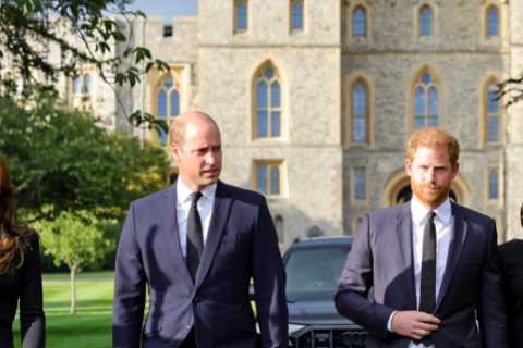 I doubt Meghan Markle’s funeral tears were real. Why would you cry over someone who fronted an..