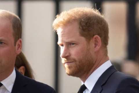 Prince Harry ‘refused to meet his brother after William reached out’ before Megxit as he was..