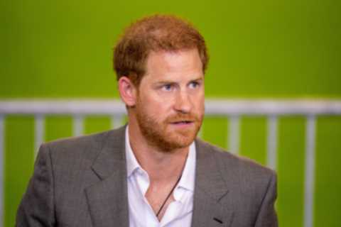 Prince Harry ‘feared he would become irrelevant when nephew George turned 18 &amp; left like Andrew ..