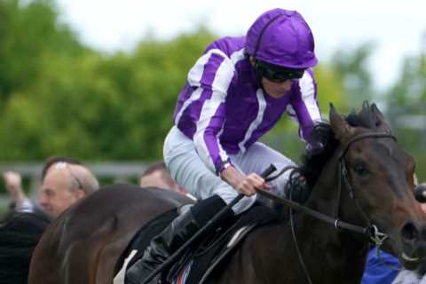 ‘He’s a big, powerful boy’ – Aidan O’Brien plunders Middle Park for seventh time with Blackbeard