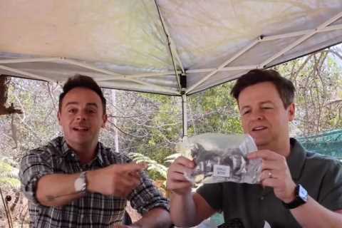 Ant and Dec give first glimpse of I’m A Celeb South Africa as they celebrate Dec’s birthday