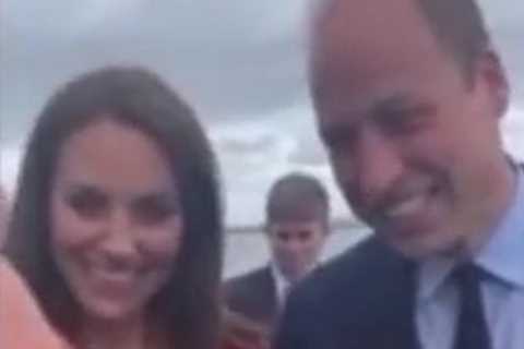 Prince William jokes he’s looking for a babysitter for his royal brood as he meets dedicated royal..