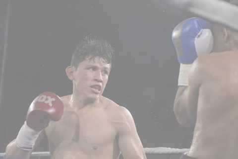 Luis Quinones dead aged 25: Boxer passes away after five days in a coma as brother releases..