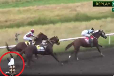 ‘The worst thing I’ve ever seen’ – Jockey banned for LIFE after pushing rival off horse named..