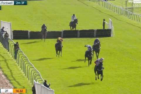 Punters lose more than £13,000 after horse ‘throws away’ victory in shock finish which saw winning..