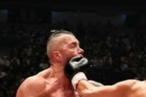 Floyd Mayweather’s bodyguard wants rematch with kickboxing star who knocked him out despite FIVE..