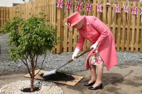 Trees from Platinum Jubilee will be planted across UK to honour The Queen