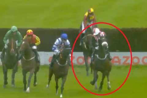 Horrific moment jockey suffers stroke mid-race as Page Fuller, 27, opens up on traumatic experience
