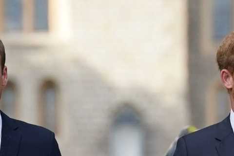 Shock reason Prince Harry ‘snubbed offer from William to heal their rift’ after bombshell TV..