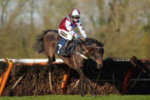 Horse disqualified from Southwell win after bizarrely testing positive for HAIR LOSS medication