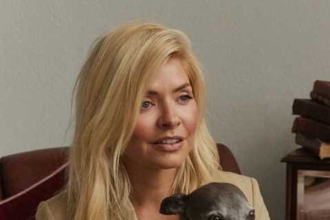 Holly Willoughby looks stunning as she transforms her look with blonde hair extensions