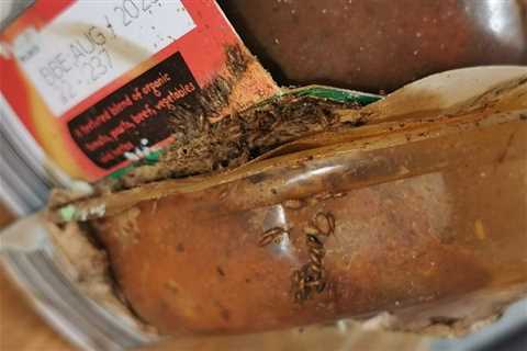 My toddler’s meal from Aldi was infested with bugs &amp; some were still alive – I’m horrified