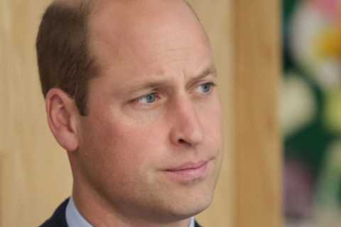Prince William feels Netflix’s The Crown is ‘cashing in on Princess Diana’s deceitful BBC..