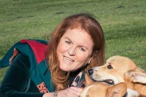 Sarah Ferguson poses with Queen’s corgis for first time since they moved in with Duchess and Prince ..