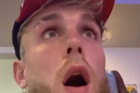 Watch as Jake Paul is left speechless after Deontay Wilder brutally knocks out Robert Helenius with ..