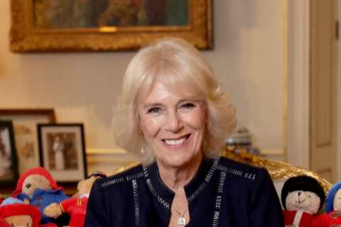 Queen Consort Camilla makes very subtle nod to Prince Harry and Meghan Markle in new photoshoot –..