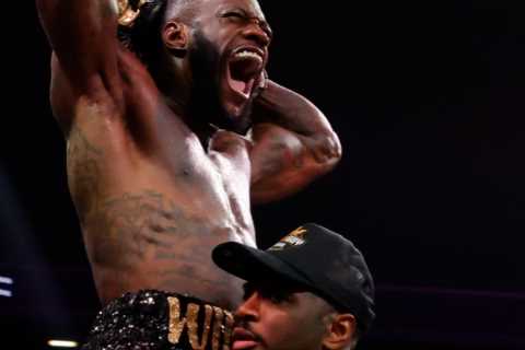 Deontay Wilder will ‘KILL’ Andy Ruiz Jr if pair meet in world title eliminator next, fears..