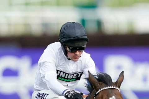 Top jockey Nico de Boinville compares Champion Hurdle contender Constitution Hill to legendary..