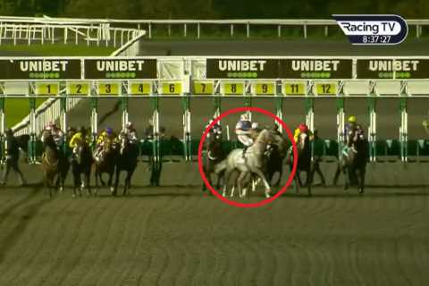 ‘Utter madness’ – fury over controversial Kempton race as horse ’causes carnage’ but result still..