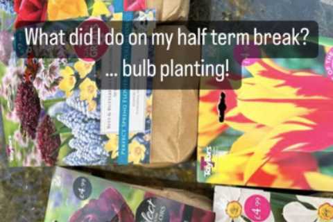 Phillip Schofield says he’s ready for This Morning return after turning to odd jobs during autumn..