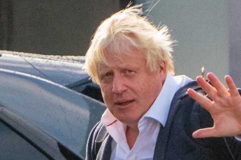 Allies of Boris Johnson are sharing polling to MPs showing only he can win the Red Wall