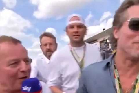 Hollywood star Brad Pitt awkwardly snubs Sky Sports presenter Martin Brundle during US Grand Prix..