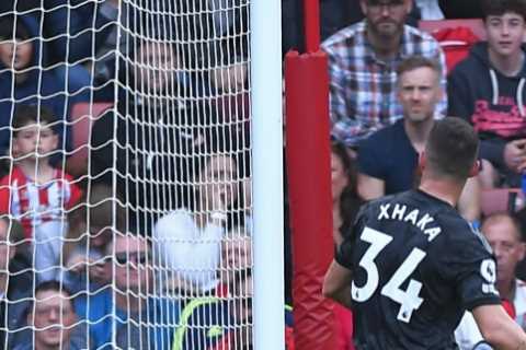 Southampton 1 Arsenal 1: Mikel Arteta’s side lose ground in Premier League title race as battling..