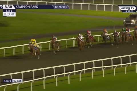‘Complete cock up’ – jockey Neil Callan banned for 12 days and apologises after riding a finish a..