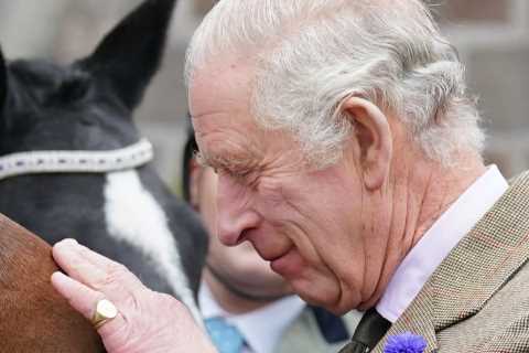 King Charles earns over £1million selling 14 of Queen’s beloved horses as Royal racing operation..