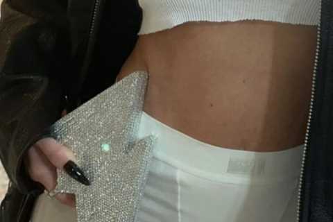 Kylie Jenner shows off her tight tummy in just underwear and see-through tank top after welcoming..
