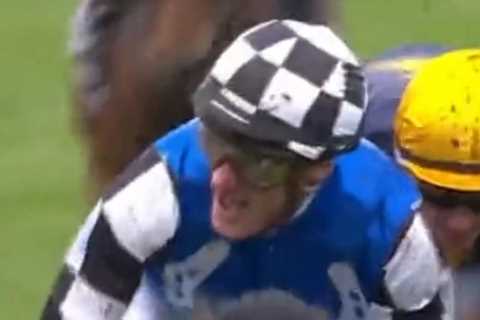 Gold Trip wins dramatic Melbourne Cup after vandal breaks onto course and sprays 1000 litres of..