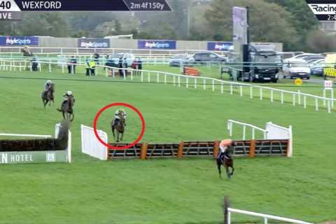 Punters lose £14,000 in absolute horror show after backing horse they all thought couldn’t possibly ..