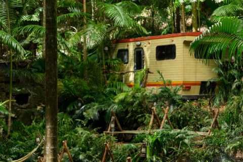 First look at dramatically different I’m A Celebrity as bosses introduce terrifying Squid Game