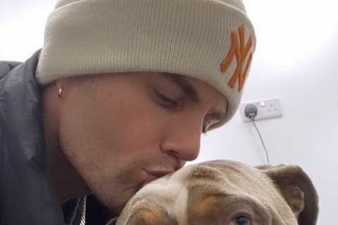 Max George rushes to vet after beloved dog swallows his toy