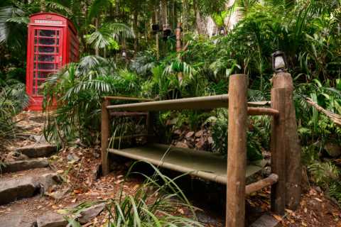 I’m A Celeb stars set to face infestation of blood-sucking bugs after torrential rain and flooding..