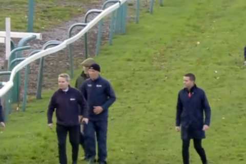 Racing abandoned at Sedgefield after tragedy strikes when two horses sadly suffer fatal injuries in ..
