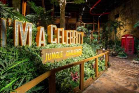 I’m A Celebrity Jungle Challenge attraction closes down for good leaving furious parents saying..