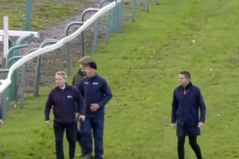 Sedgefield axes next meeting amid investigation into track’s safety after two horses die in the..