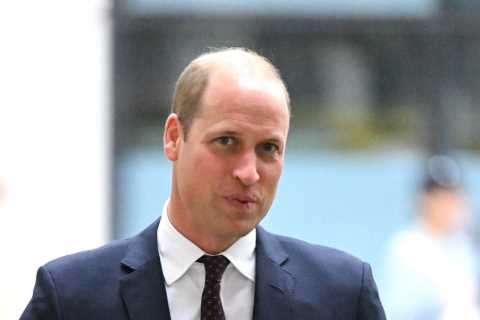 Where did Prince William go to school and what did he study at university?