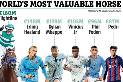 Meet the £160million horse worth more than Erling Haaland and any footballer – Flightline is..