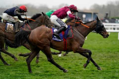 ‘And so it begins’ – ante-post punters panicking as another big Cheltenham Festival hope is ruled..